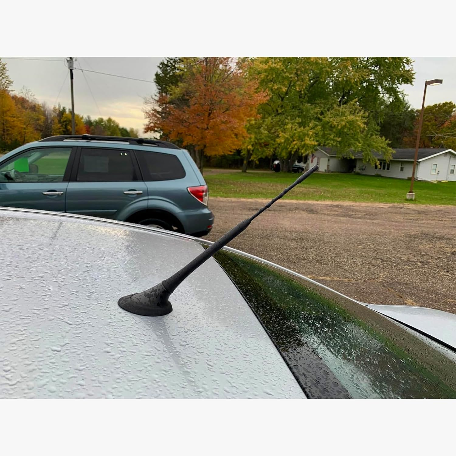 Universal Vehicle Roof Mount Flexible Rubber Car Antenna AM FM Antenna Car Roof Antenna Car 23Cm/9Inch Car Radio Antenna with M4 M5 M6 Threaded Adapter Suitable for Most Models Etc image number 2