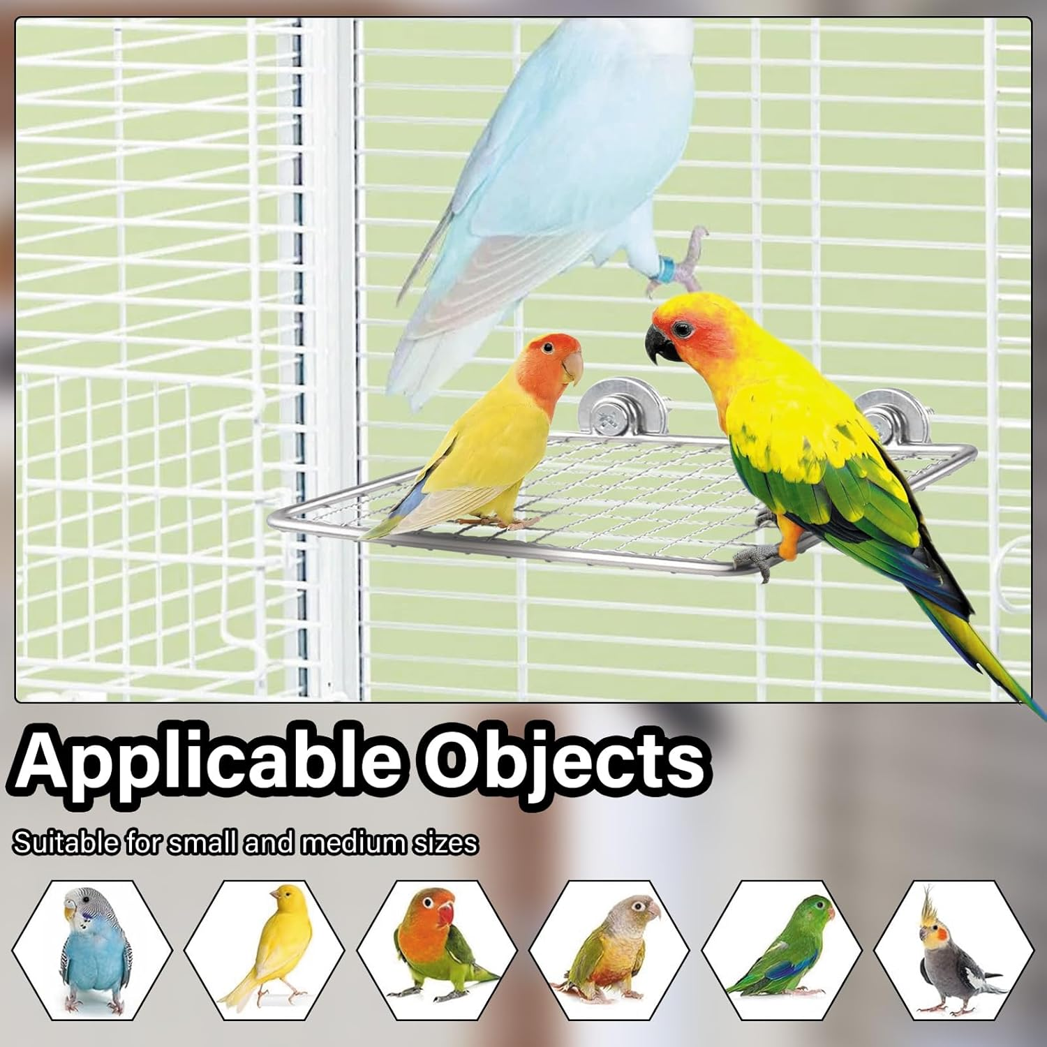 2 Pcs Stainless Steel Bird Perches Platform, Sturdy Stainless Steel Perch for Bird Cage - Multi-Functional Resting & Jumping Stand for Parrots, Conures, Cockatiels, Budgies - Easy to Clean and Install image number 4