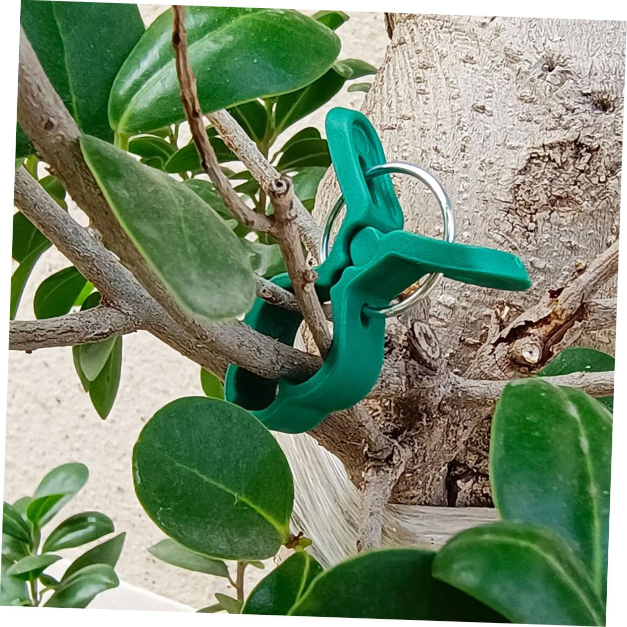 BCOATH 60Pcs Garden Plant Clamps and Tomato Support Clips for Climbing Plants Large Green Orchid Vine Clips Set Sturdy Fixing Clamps for Outdoor Gardening and Vegetable Vine Support