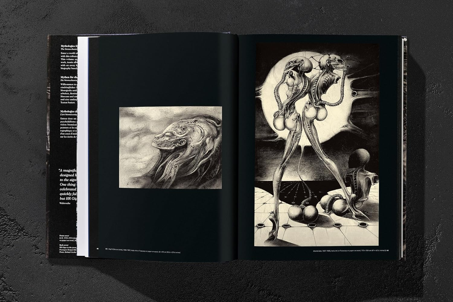 HR Giger image number 4