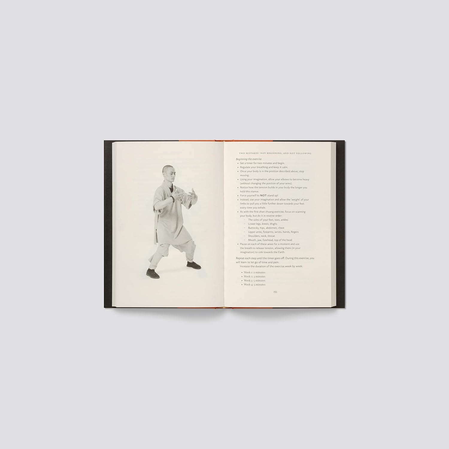 Shaolin Spirit: the Way to Self-Mastery image number 4