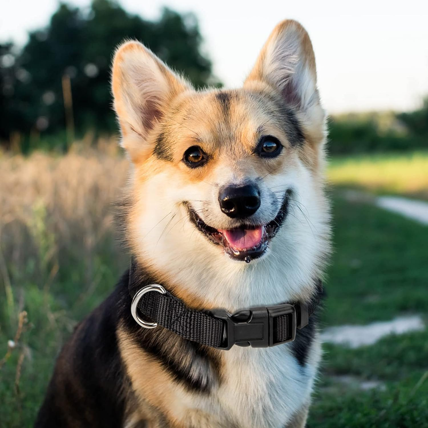 Puppydoggy Adjustable Dog Collar Black Nylon Dog Collar Martingale Collar for Dogs with Quick Release Buckle Classic Pet Collar for Small Medium Large Dogs (Small 1 Pack, Black) image number 2