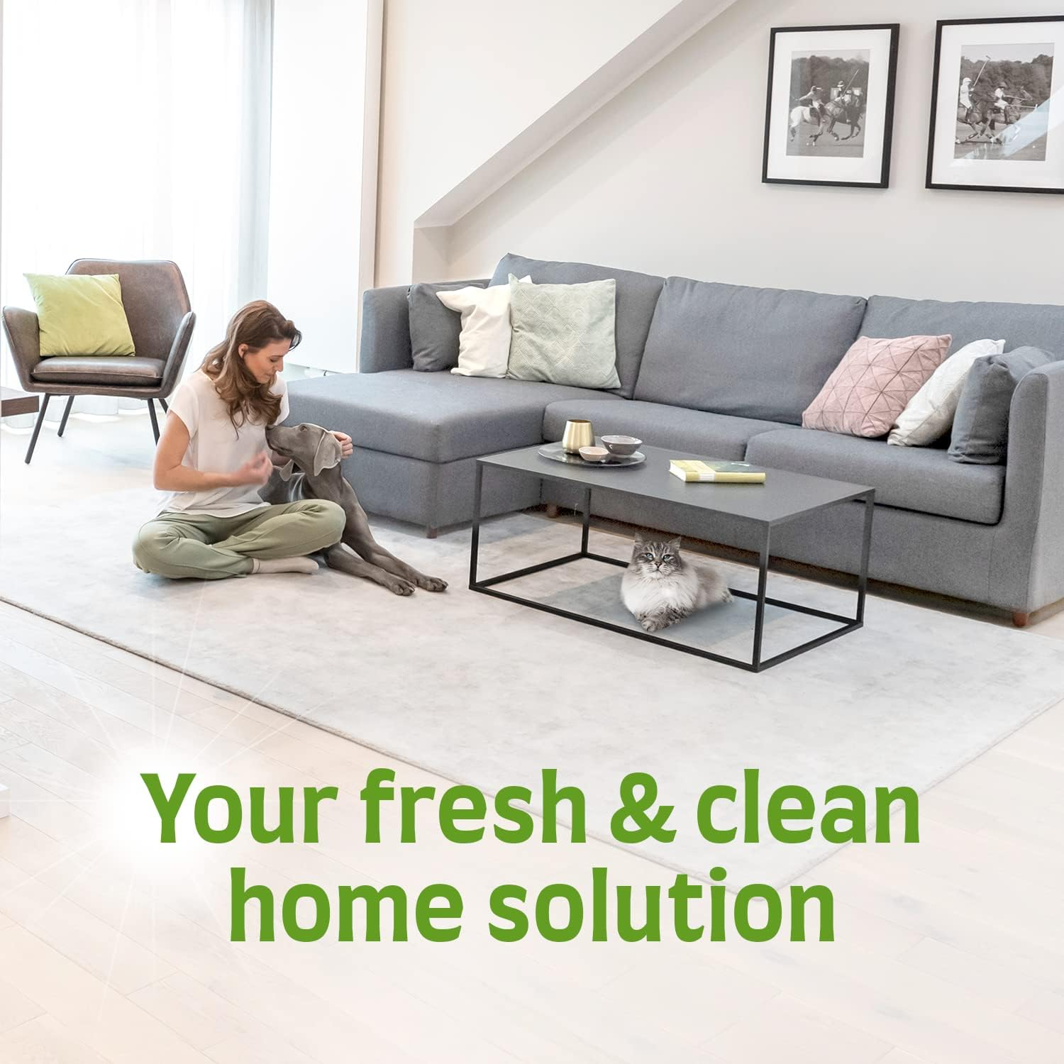 Nature'S Miracle Stain & Odour Remover Cat 3.78 LTR image number 2