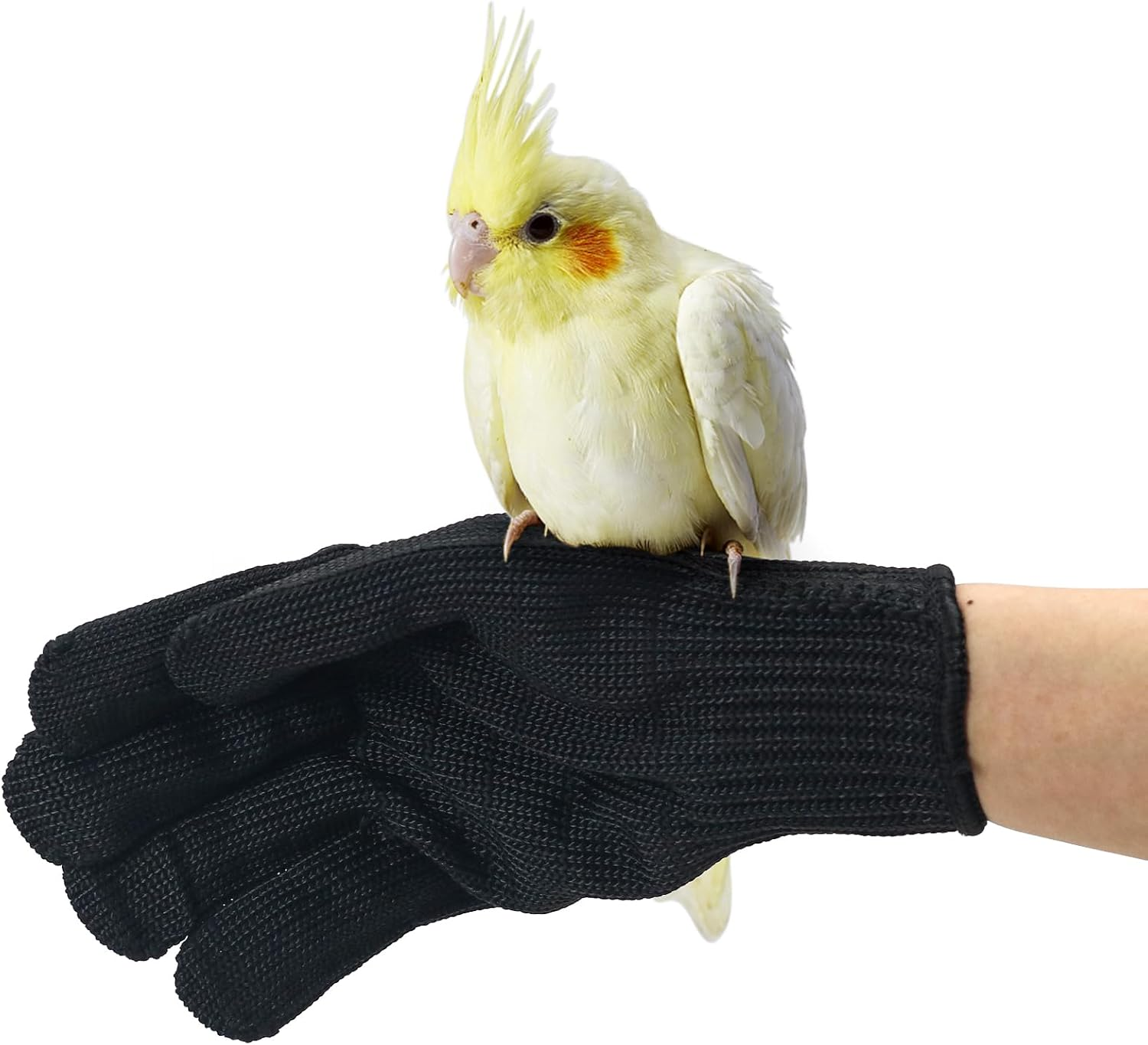 Bird Training Anti-Bite Gloves, Level 5 Protection, Parrot Chewing Working Safety Protective Gloves for Small Animal Pet Squirrels Hamster Parrotlets Cockatiels Finch Macaw (Gloves + Arm Sleeves)