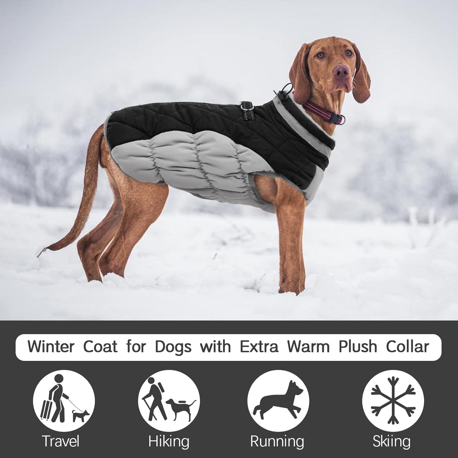 Kuoser Dog Coat,Warm Winter Jacket with Padded Fleece, Reflective, Waterproof & Windproof, Built-In Harness,Black,X-Small image number 4
