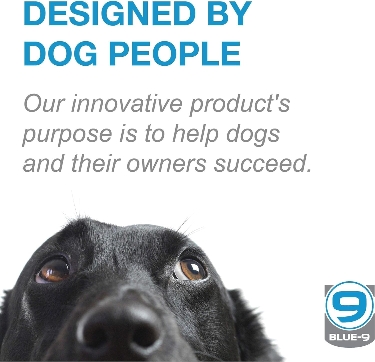 Blue-9 Balance Harness Buckle Neck, Medium/Large, Sky Blue image number 4