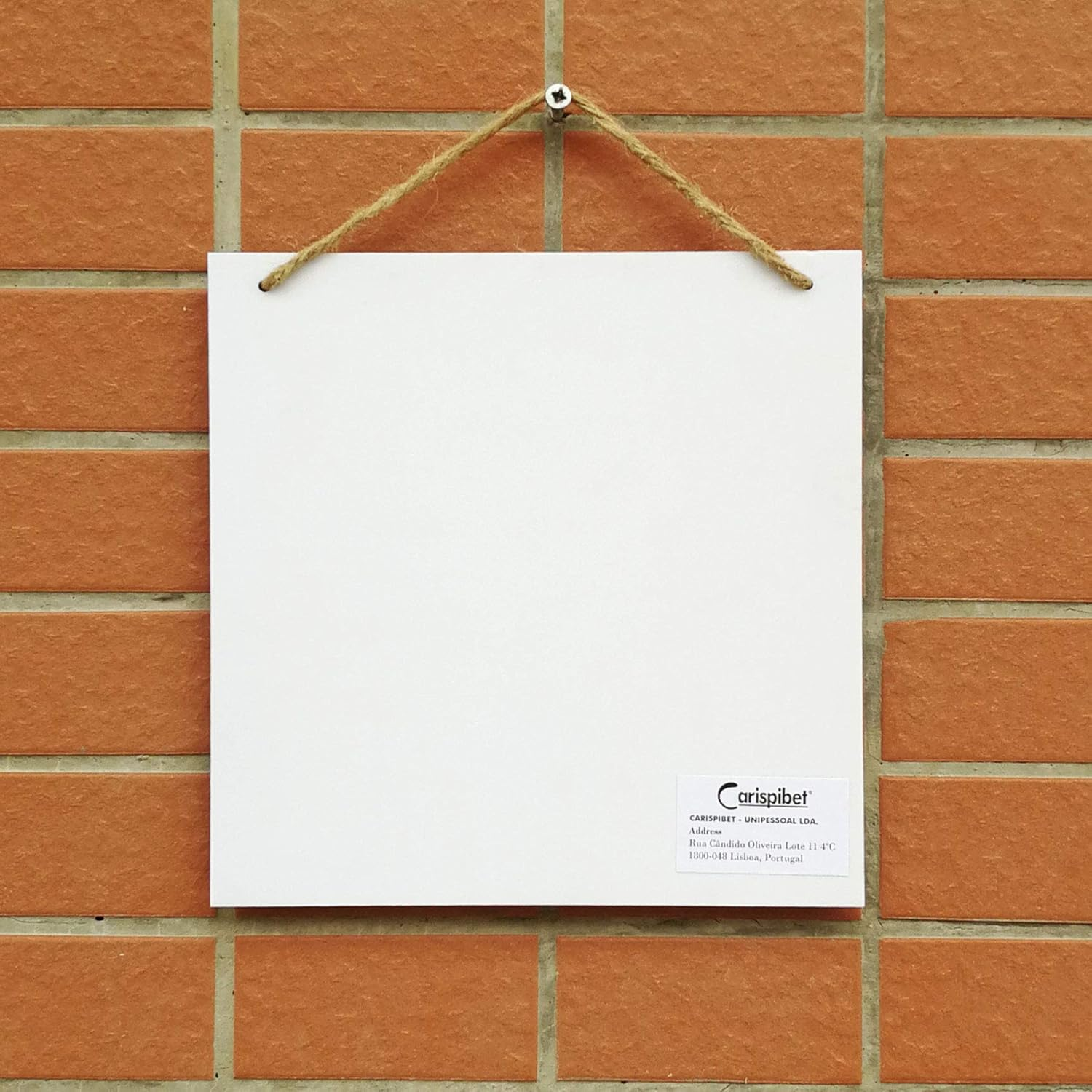 CARISPIBET Not Everyone Can Be the Queen | Home Decoration Sign Funny and Sassy Wall Art 8" X 8"