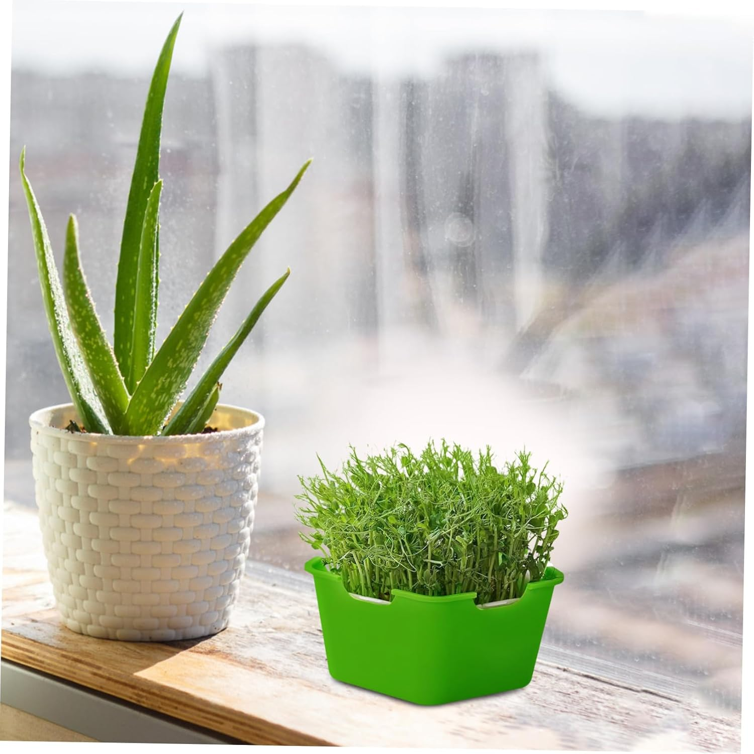 BUTIFULSIC 4Sets Thick Germination Tray for Seedlings Multi-Functional Nursery Supply for Greenhouse and Gardening and Compact Design for Starting image number 4