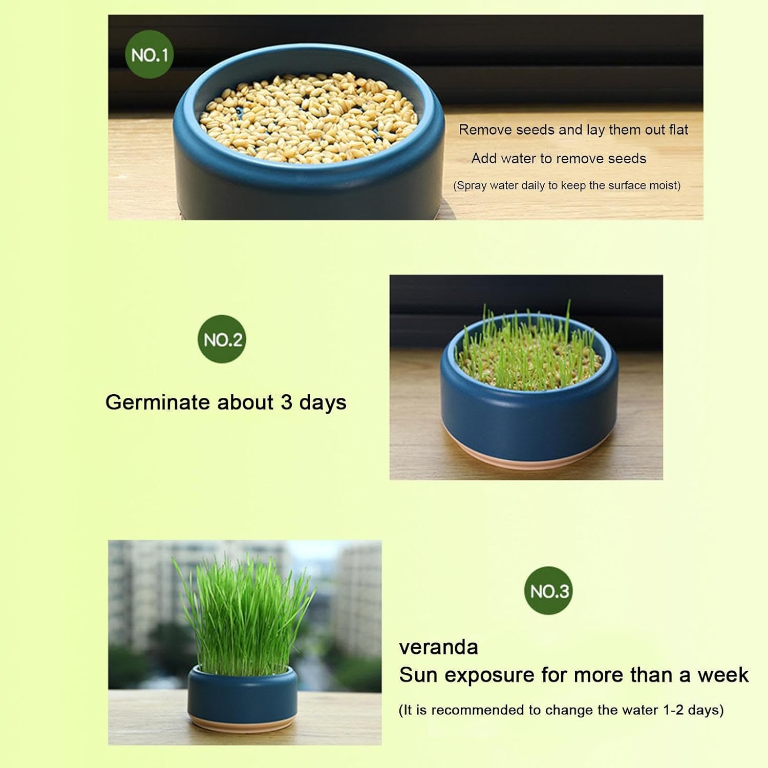 Cat Grass Growing Kit- Cat Grass Planter Tray-Organic Cat Grass Growing Kit for Indoor Cats Pet Hydroponic Cat Grass Growing Planter - Cat Grass for Indoor Cats Pet Accessories