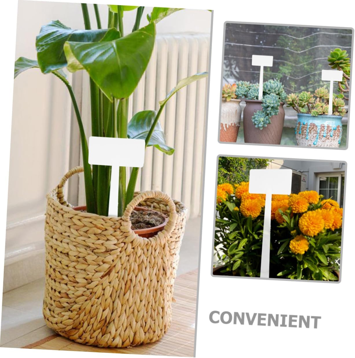 10Pcs Plant Tags Landscape Signs for Gardening Easy to Use Write Lightweight Safe for Plants for Garden Decoration image number 6