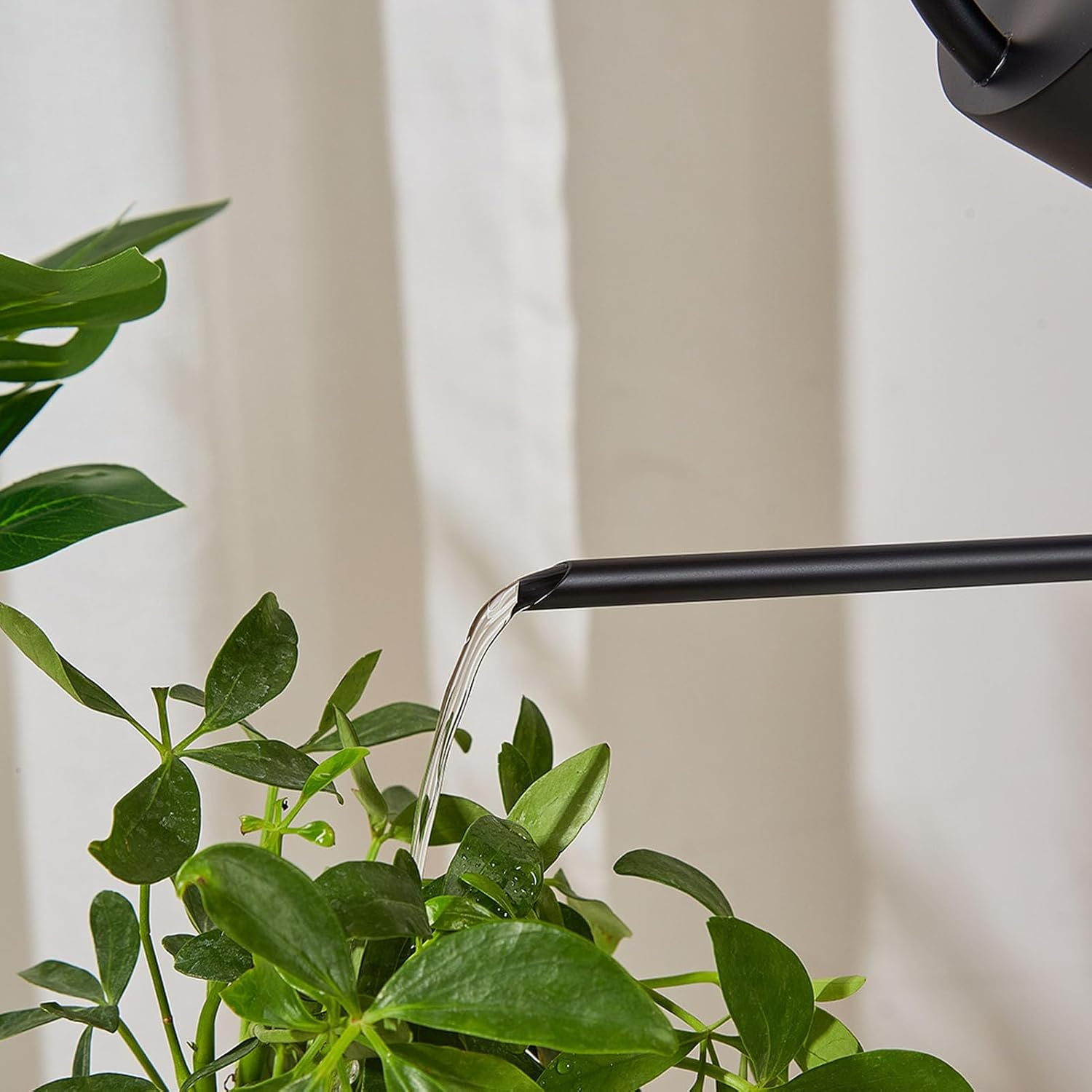 Plant Watering Can, Easy to Control Watering Can, Wide Range of Uses, Portable 1500 (Black) image number 1