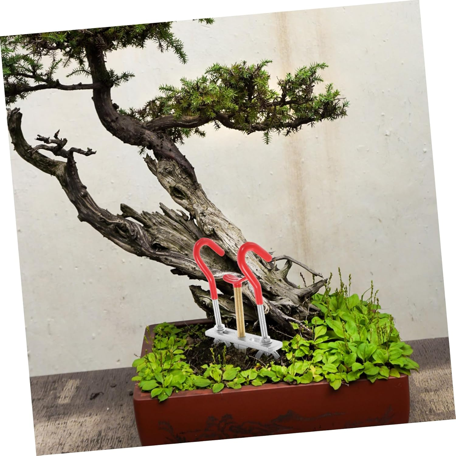 BESPORTBLE Bonsai Branch Bender and Tree Branch Bending Tool for Outdoor Garden Bonsai Styling, Small Size Adjustable Tree Trunk Adjuster for DIY Plant Shaping image number 1