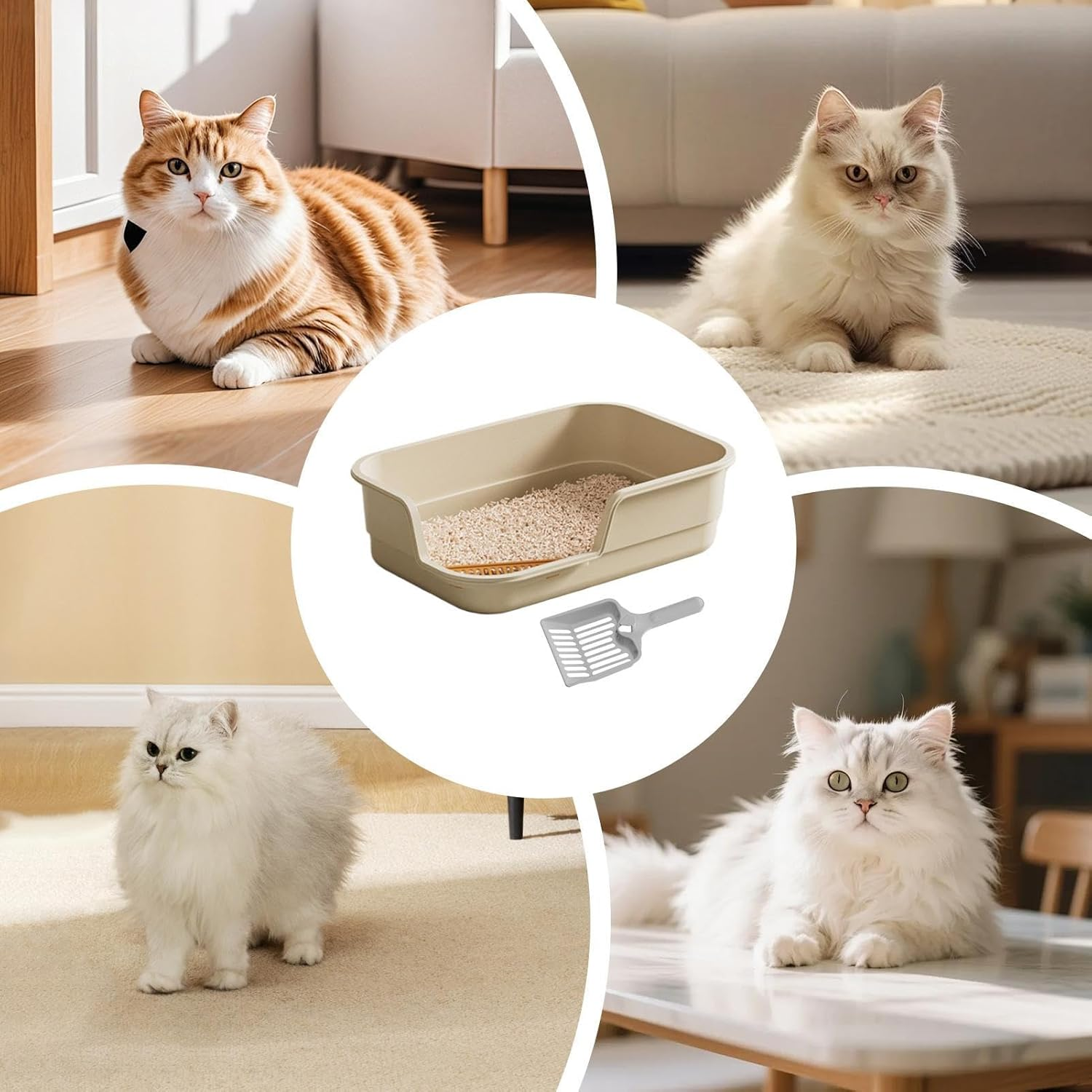 Cat Litter Box, High Hips Low Entry, High Edge Cat Litter Box, Indoor Kittens Elderly Animals Home Office Apartment Hotel Living Room Balcony image number 1