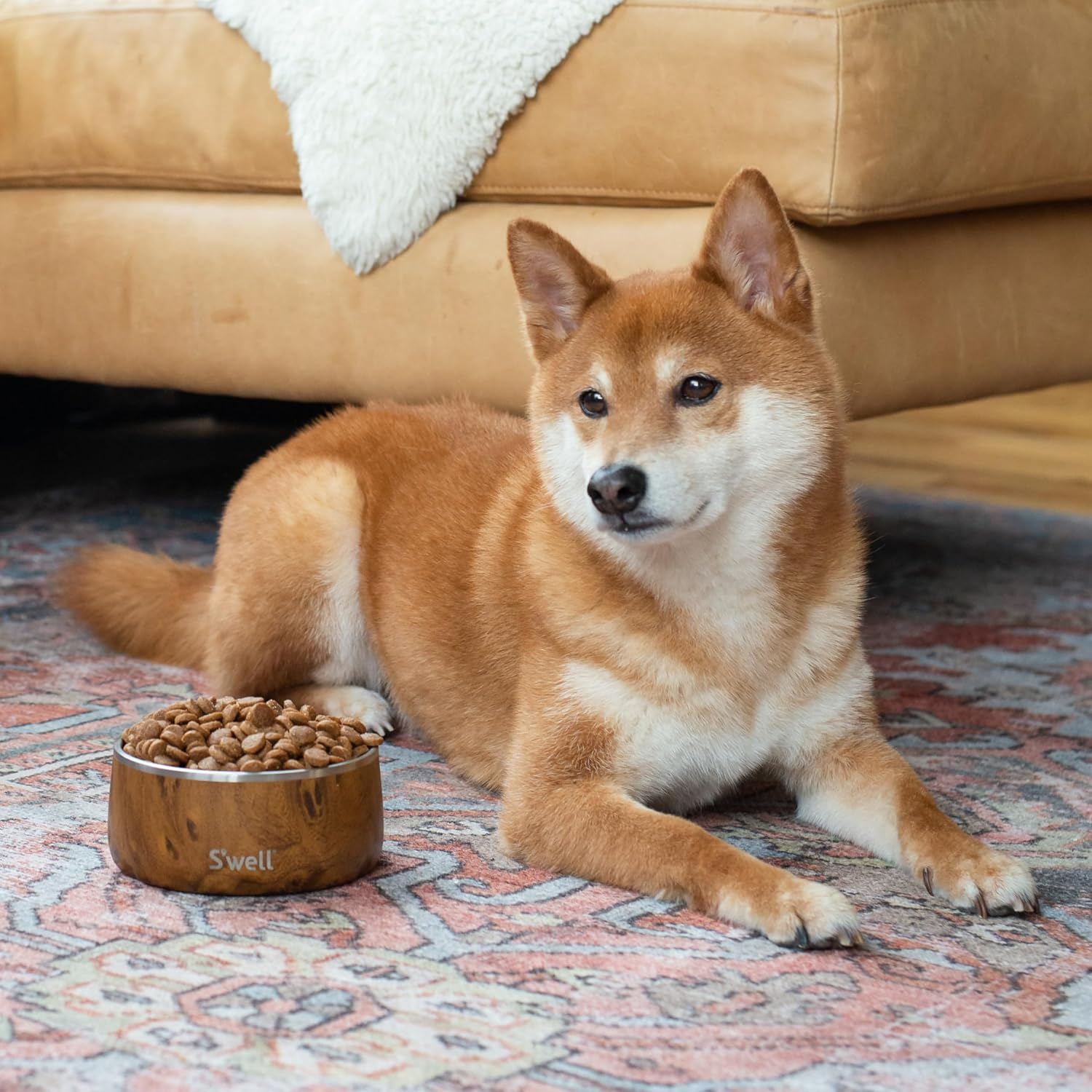 S'Well Stainless Steel Dog Bowl - for Small to Medium Size Dogs - 16Oz, Teakwood - Non-Slip and No-Spill Design with Rubber Bottom, and Dishwasher Safe - Bpa-Free Pet Bowl for Food and Water image number 3