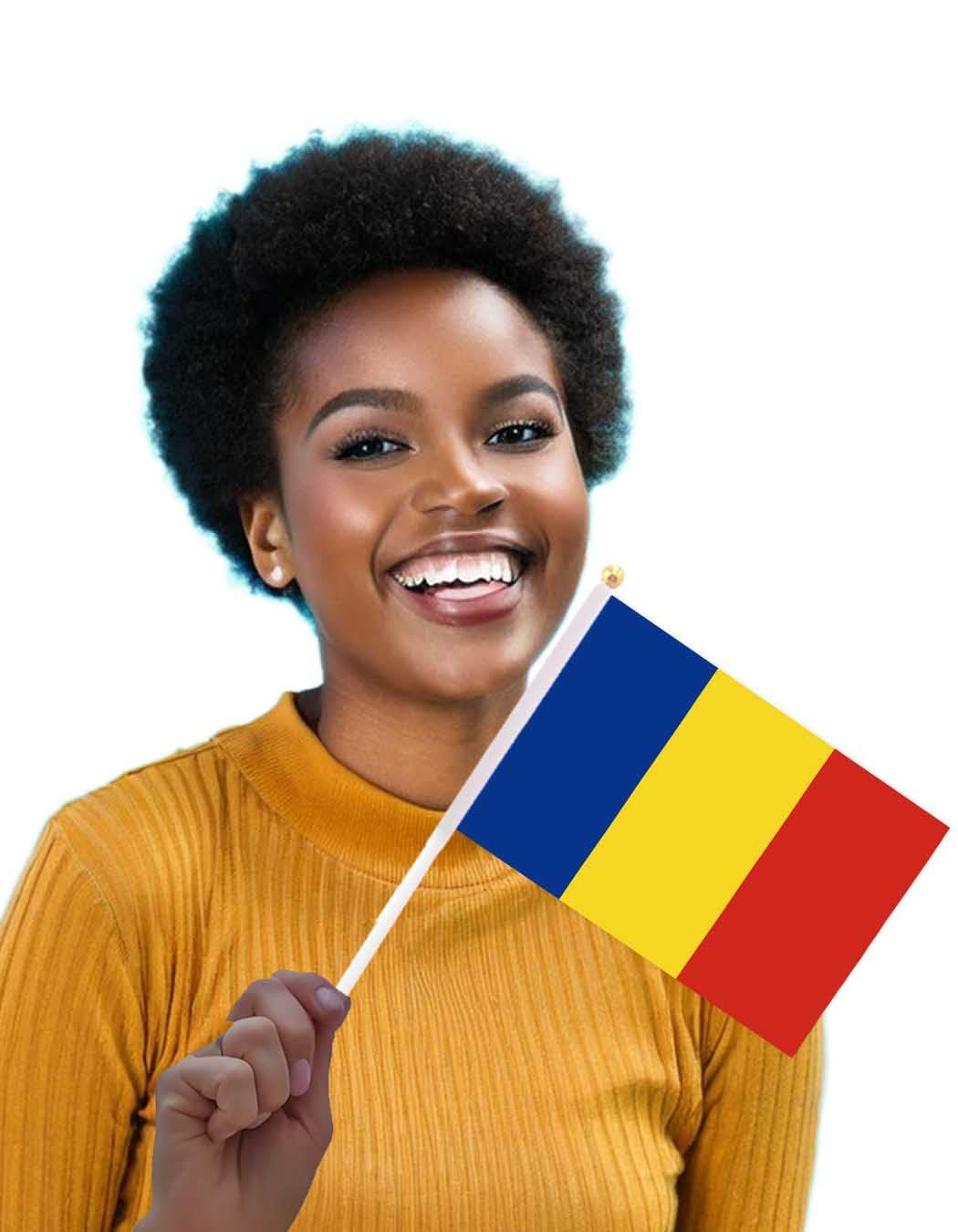 25 Packs Small Romania Flags on Handheld Stick，Miniature Romanian Flag for Outside,4X6 Inch Mini Hand Held Banner with Golden Topper,Patriotic Decorations image number 2