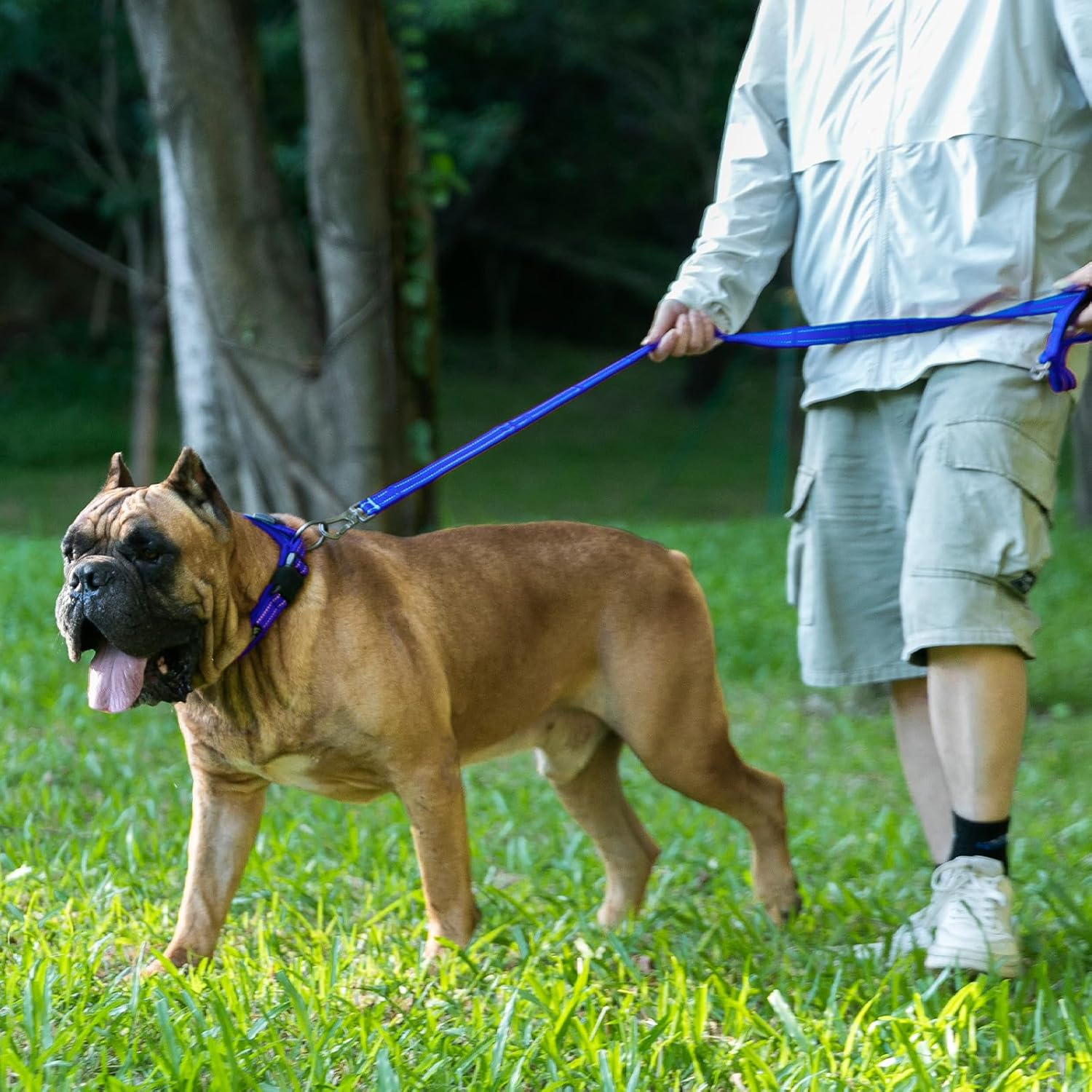 EXCELLENT ELITE SPANKER Reflective Nylon Dog Collar with Breathable Soft Padded Adjustable Thick Pet Collars for Small Medium Large Dogs Walking Training(Red-L) image number 3