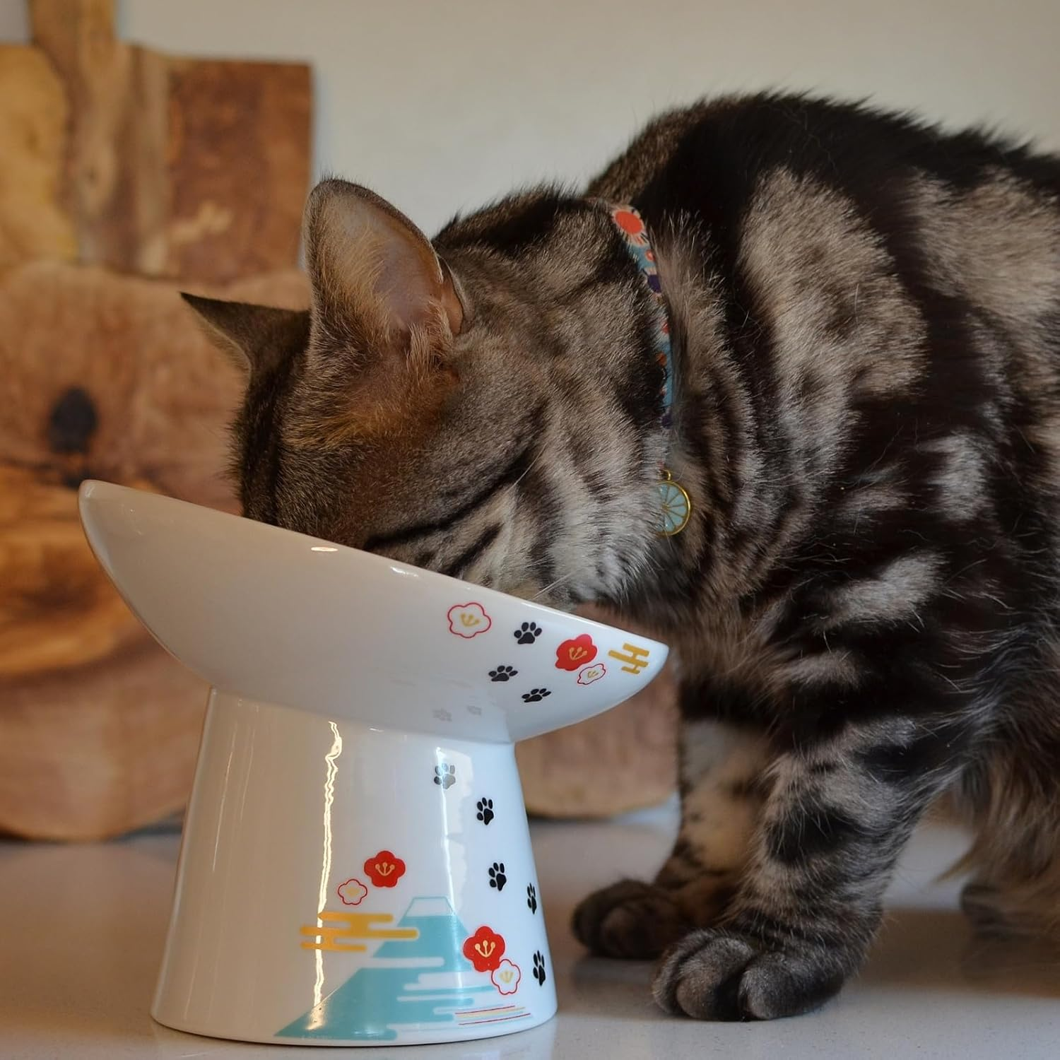 Necoichi Extra Wide Raised Cat Food Bowl, Elevated, Prevent Neck & Whisker Fatigue, Dishwasher and Microwave Safe, No.1 Seller in Japan! (Fuji Limited Edition, Extra Wide Tilted) DC-0715-NY18