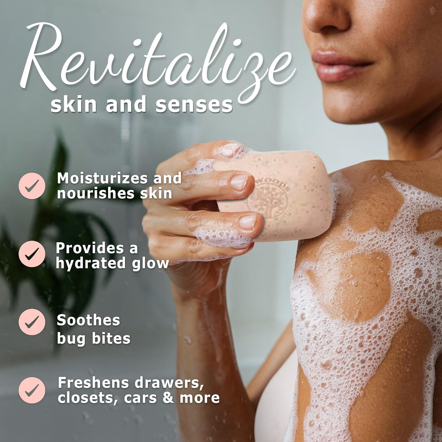 (3 X 160Ml) - Dr. Woods Bar Soap Skin Lightening English Rose, 160Ml, Pack of 3