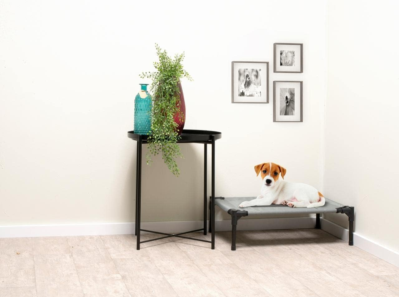 Maxxpro Dog Bed on Legs - Good Ventilation - Includes Carry Bag - Max 20Kg - Small image number 3