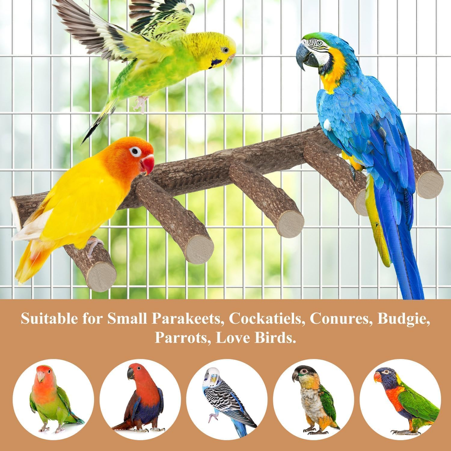 Parrot Wood Stand for Cage, 12.2Inch Length Parrot Perch, Natural Bird Ladder for Small Medium Parrot, Conures, Hamster, Parakeets, Cockatiels image number 4