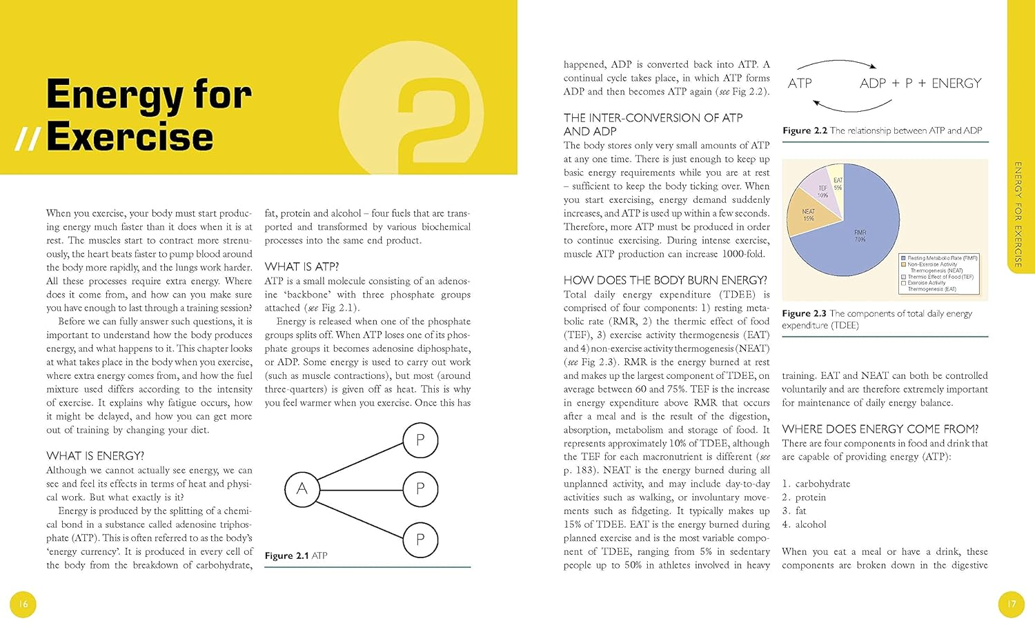 The Complete Guide to Sports Nutrition 9Th Edition: image number 1