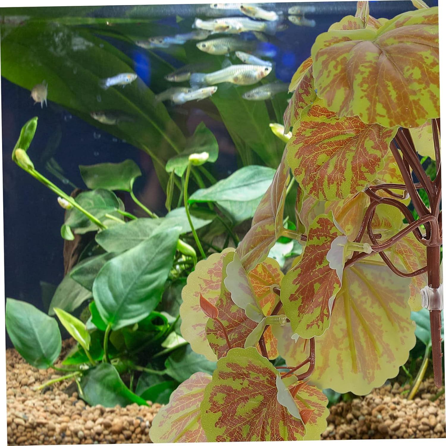 WOONEKY Artificial Aquarium Plant Lifelike Reptile Terrarium Decor with Begonia Leaves Stable Vibrant Plastic Fish Tank Plant for Reptile Tanks and Aquatic Landscapes image number 3