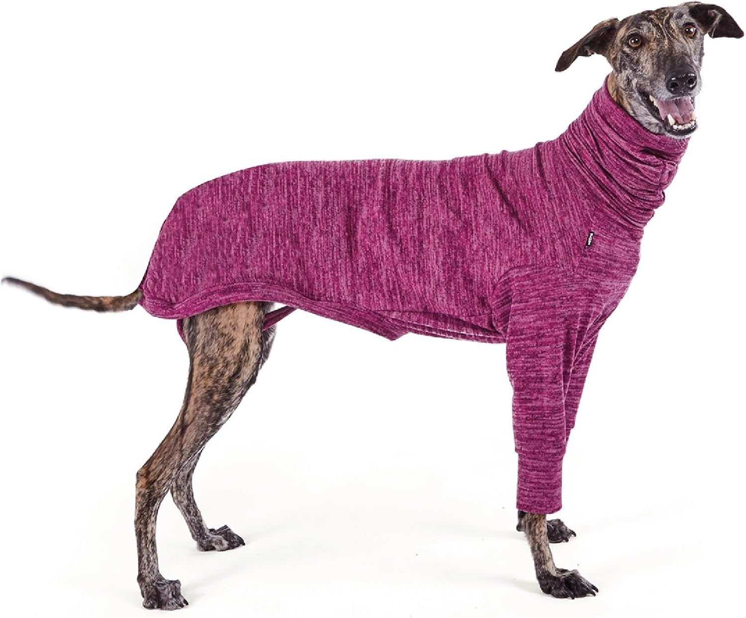 Kazoo Greyhound Softie Dog Jumper, Mulberry, Small image number 5