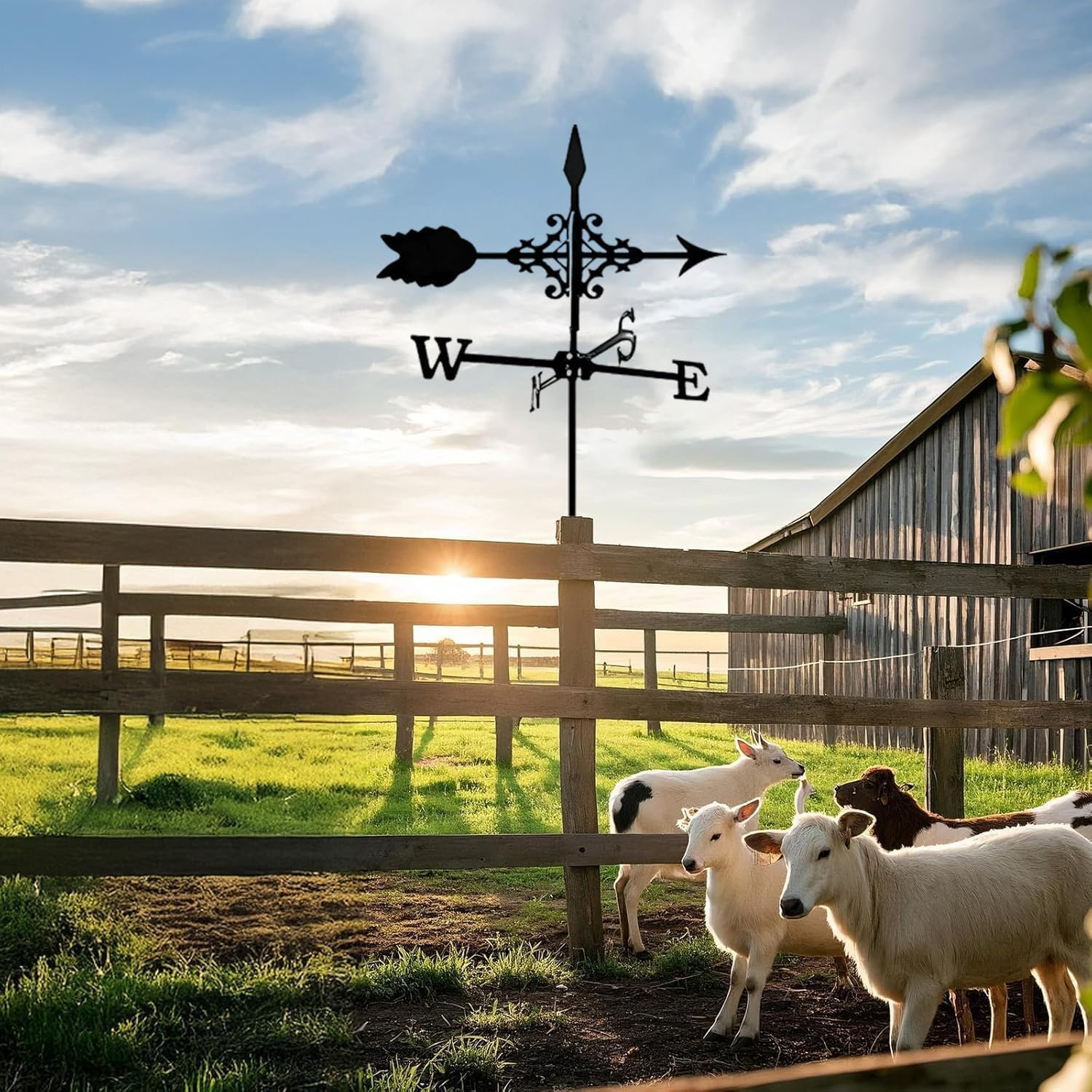 Black Metal Outdoor Weather Vane with Arrow Ornament, Wind Direction Indicator for Garden, Yard, Roof Mount