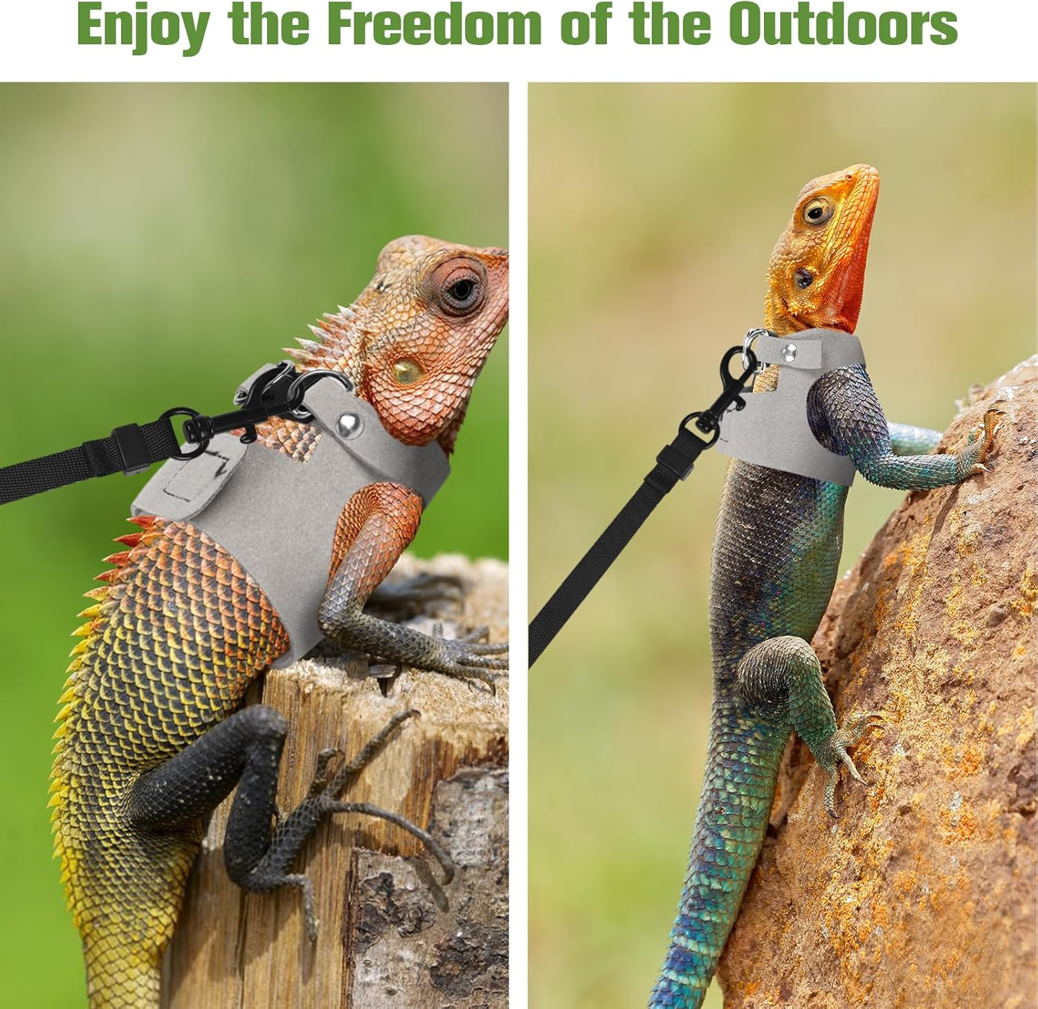 Fnaobai Bearded Dragon Harness Leash Set 3 Size Adjustable Lizards Training Walking Leather Vest Escape-Proof Traction Rope for Outdoor Small Reptiles Animal Squirrels (Grey) - Blue image number 7