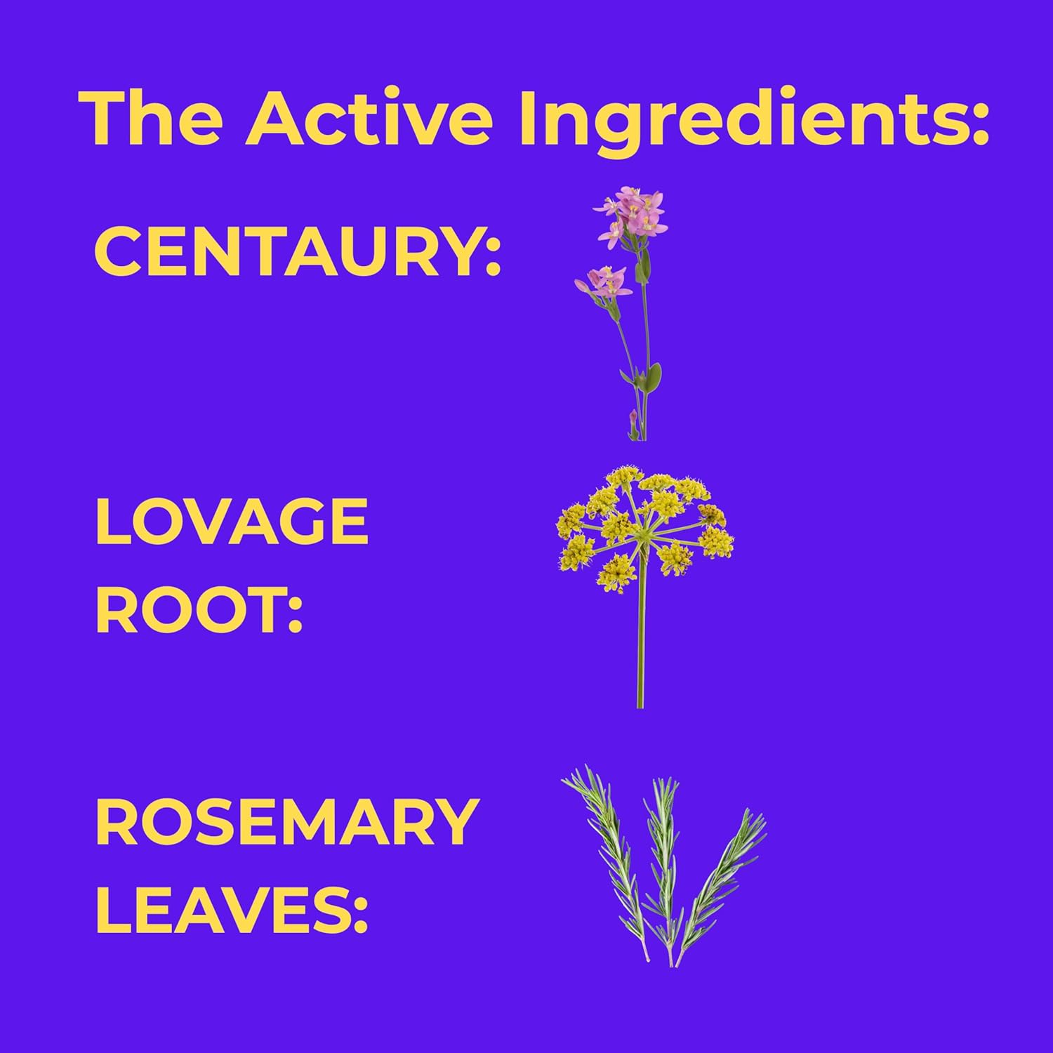 Canephron- UTI Supplements for Women- Relieves Symptoms and Helps Reduce the Occurrence of Cystitis (UTI) - 30 Coated Tablets | Take 1 UTI Tablet 3 Times Daily. Empowering Women&rsquo;S Health & Wellness image number 3