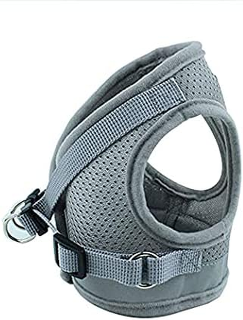4M Pets No-Pull Reflective Mesh Dog Harness & Leash &ndash; Breathable, Step-In Vest for Small & Medium Dogs image number 5