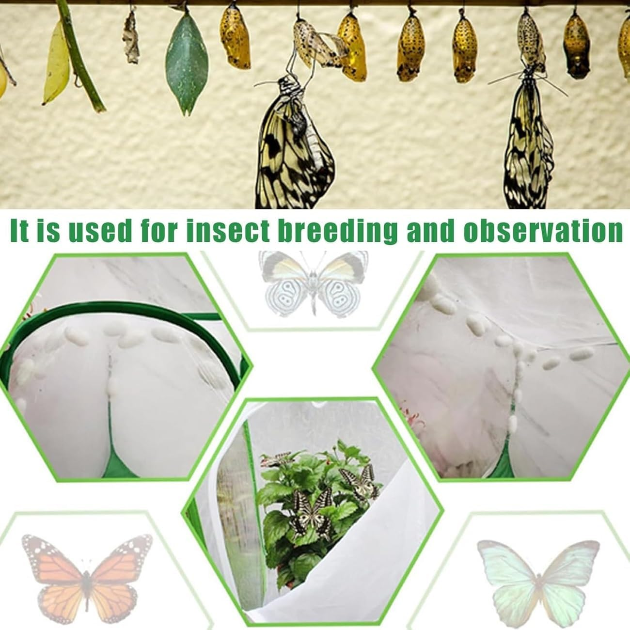 WADY Portable Insect Mesh Cage Small Butterfly Habitat & Caterpillar Enclosure with Carry Handle, Easy to Observe Bug Terrarium, Critter Cage (60X40X40Cm) - 30 X 30 X 30 Cm image number 5