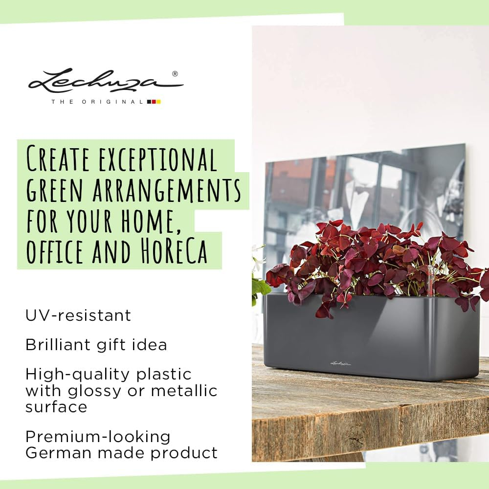 Lechuza Cube Glossy Triple Self-Watering Planter, Charcoal