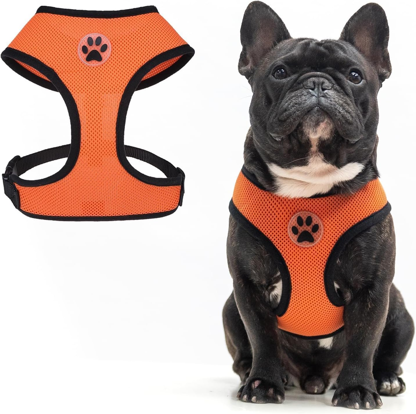 BINGPET Dog Vest Harness -Light Weight Breathable Sports Mesh - Pet Adjustable Harness Puppy Padded Harnesses Dog Vest Harness for Small Dogs