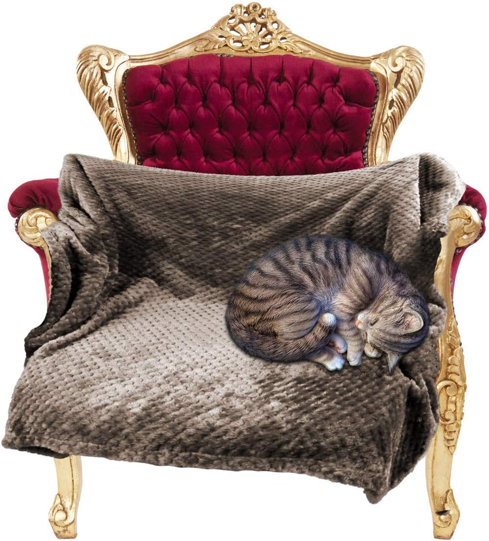 Msicyness Dog Blanket,Soft Fuzzy Blankets for Puppy, Small,Medium,Large,X-Large Premium Fluffy Blankets Plush Fleece Throw Dog Bed, Couch, Sofa, Reversible Travel Warm Covers image number 4