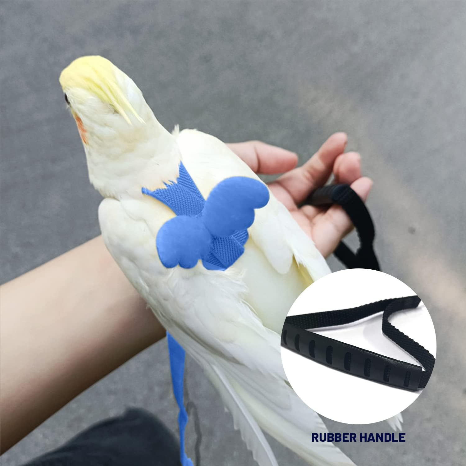 2 Metre Long Adjustable Parrot Training Rope, Bird Harness for Outdoor Activities, Elastic Strap Training Rope, with 1 Bird Foot Ring. image number 2