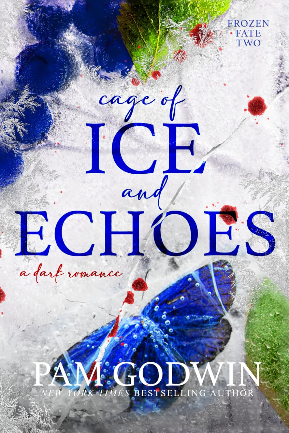 Cage of Ice and Echoes image number 1