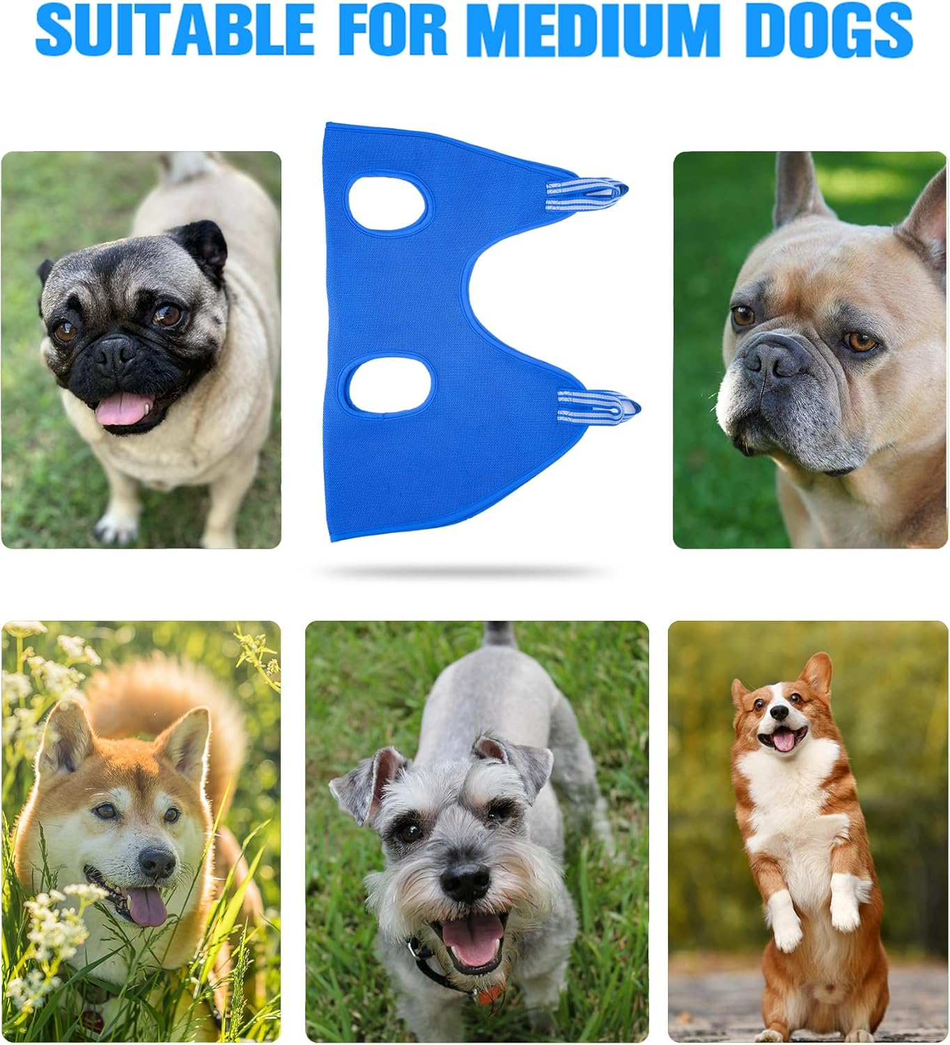 Kkiimatt 10 in 1 Pet Grooming Hammock Harness with Nail Clippers/Trimmer, Nail File,Dog Nail Hammock, Dog Grooming Sling for Nail Trimming/Clipping image number 5