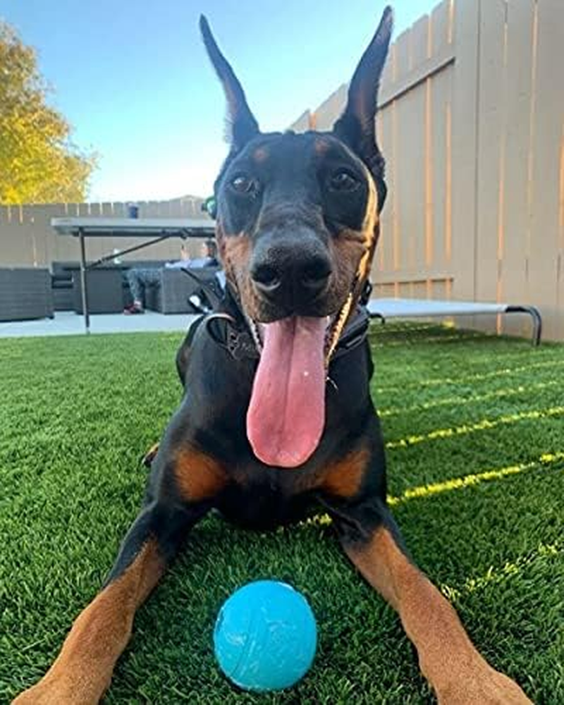 Chew King Fetch Balls Extremely Durable Natural Rubber Toy 3 Inch Balls - Pack of 3 (CM-0263-CS01) image number 4