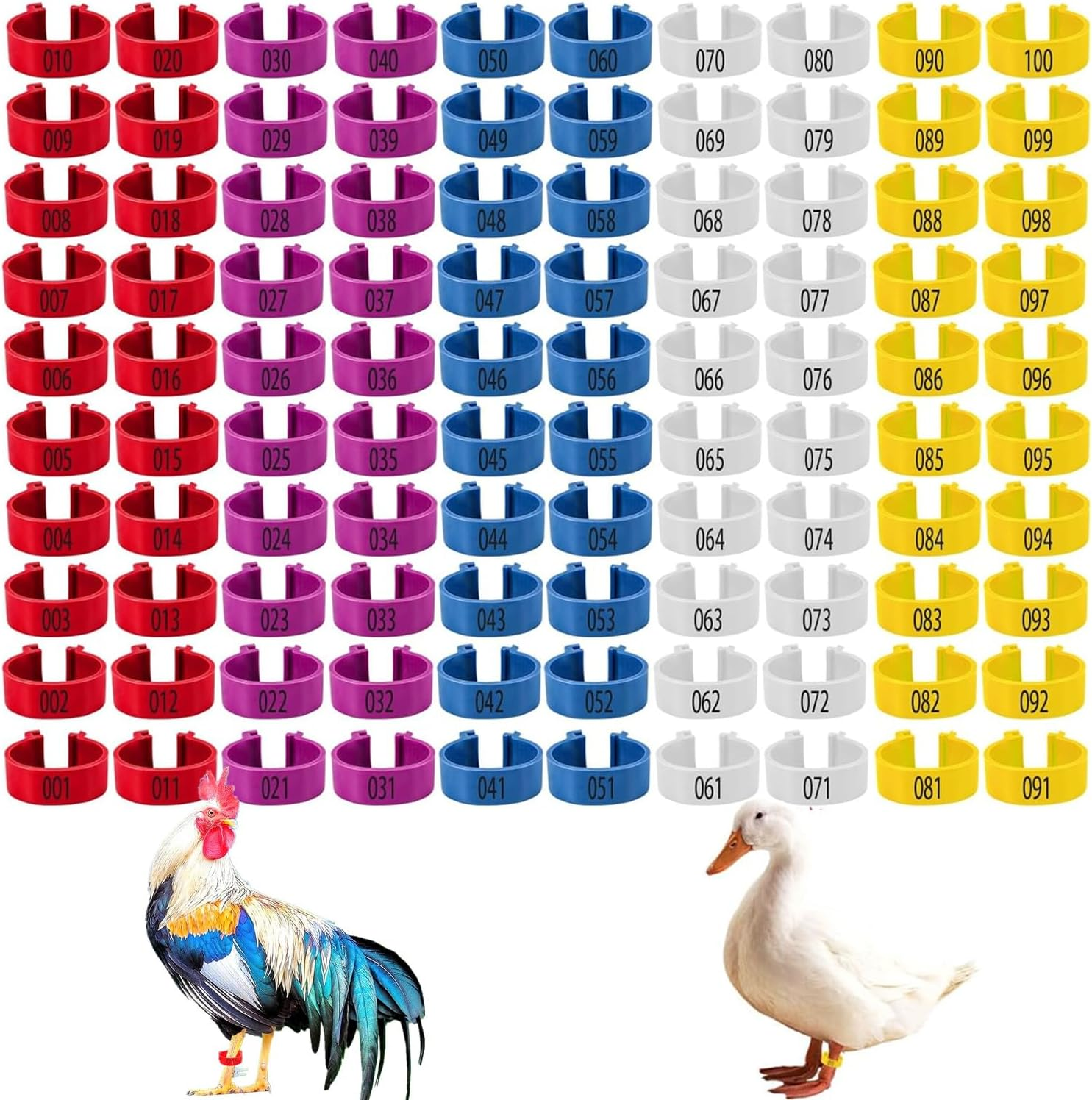 100 Pcs Chicken Leg Rings for Ducks, Pigeons, Guinea Pig, Goose - Numbered Poultry Foot Bands - Chicken Leg Marker Clips - Ideal for Easy Identification and Tracking (16Mm) image number 6