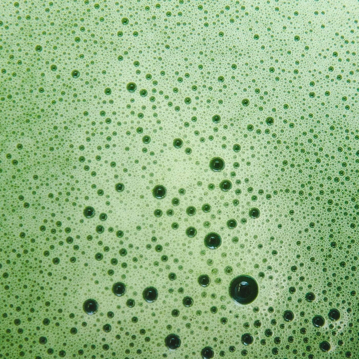 Organic Matcha Green Tea Powder - Superior Grade USDA Certified - Green Superfood for Smoothies Lattes and Baking - Borovela 50G 1.7Oz