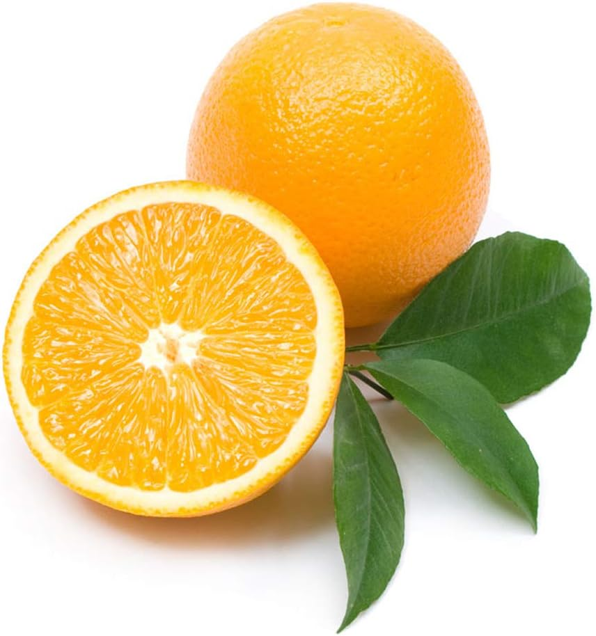 Japan Health and Personal - Neal'S Yard Remedies Geranium & Orange Shower Gel (Body Wash) 200Ml *AF27* image number 3