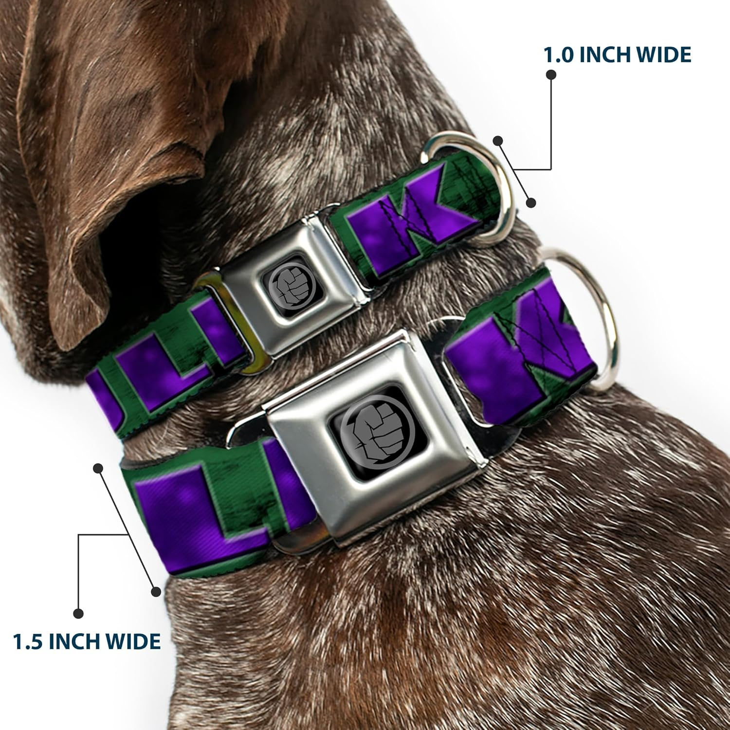 Dog Collar Seatbelt Buckle Hulk Face Close up Action Pose Greens Purples 11 to 17 Inches 1.0 Inch Wide