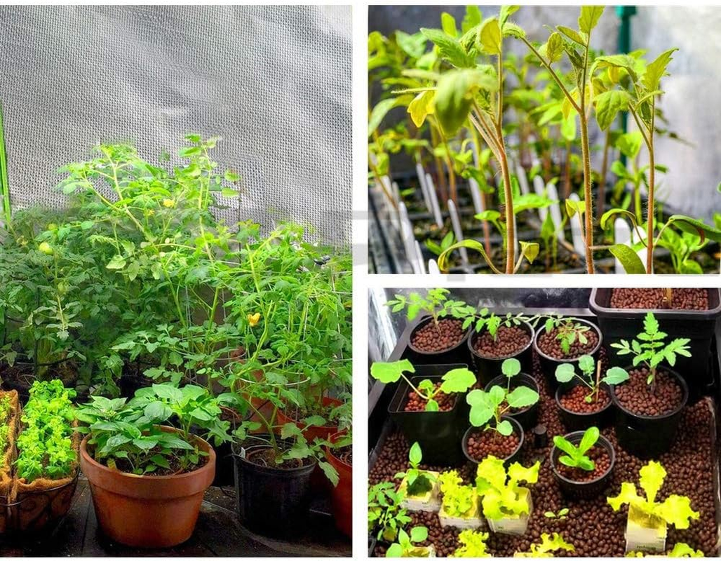 Greenfingers Grow Tent 60 X 60 X 90Cm Hydroponics Growing System Indoor Greenhouse Hydroponic Indoor Plant Kits,600D Oxford Cloth Black Exterior and Steel Frame with Highly Reflective Inside image number 4