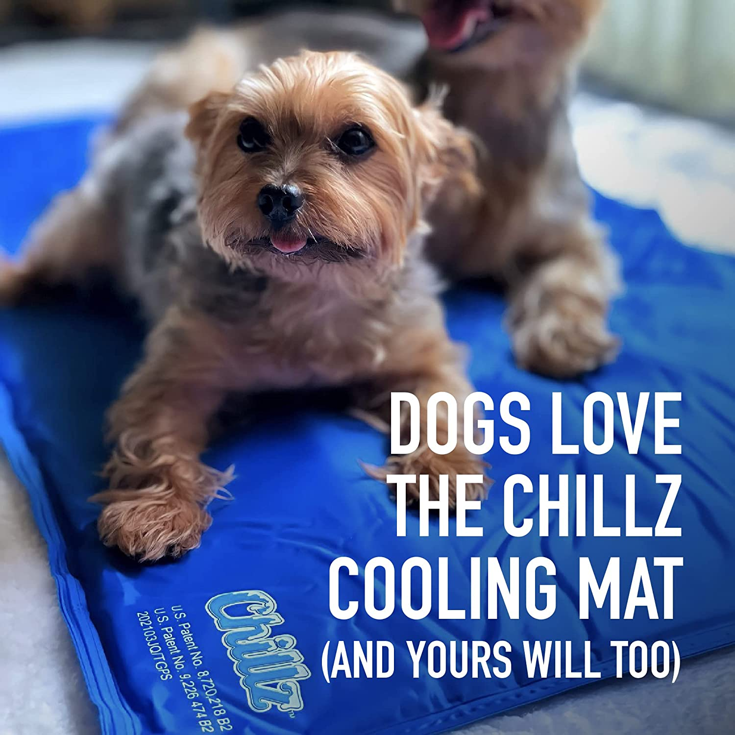 Chillz Cooling Mat for Dogs, Extra Large - Pressure Activated Gel Dog Cooling Mat - No Need to Freeze or Refrigerate This Cool Pet Pad - Keep Your Pet Cool, Use Indoors, Outdoors or in the Car image number 2