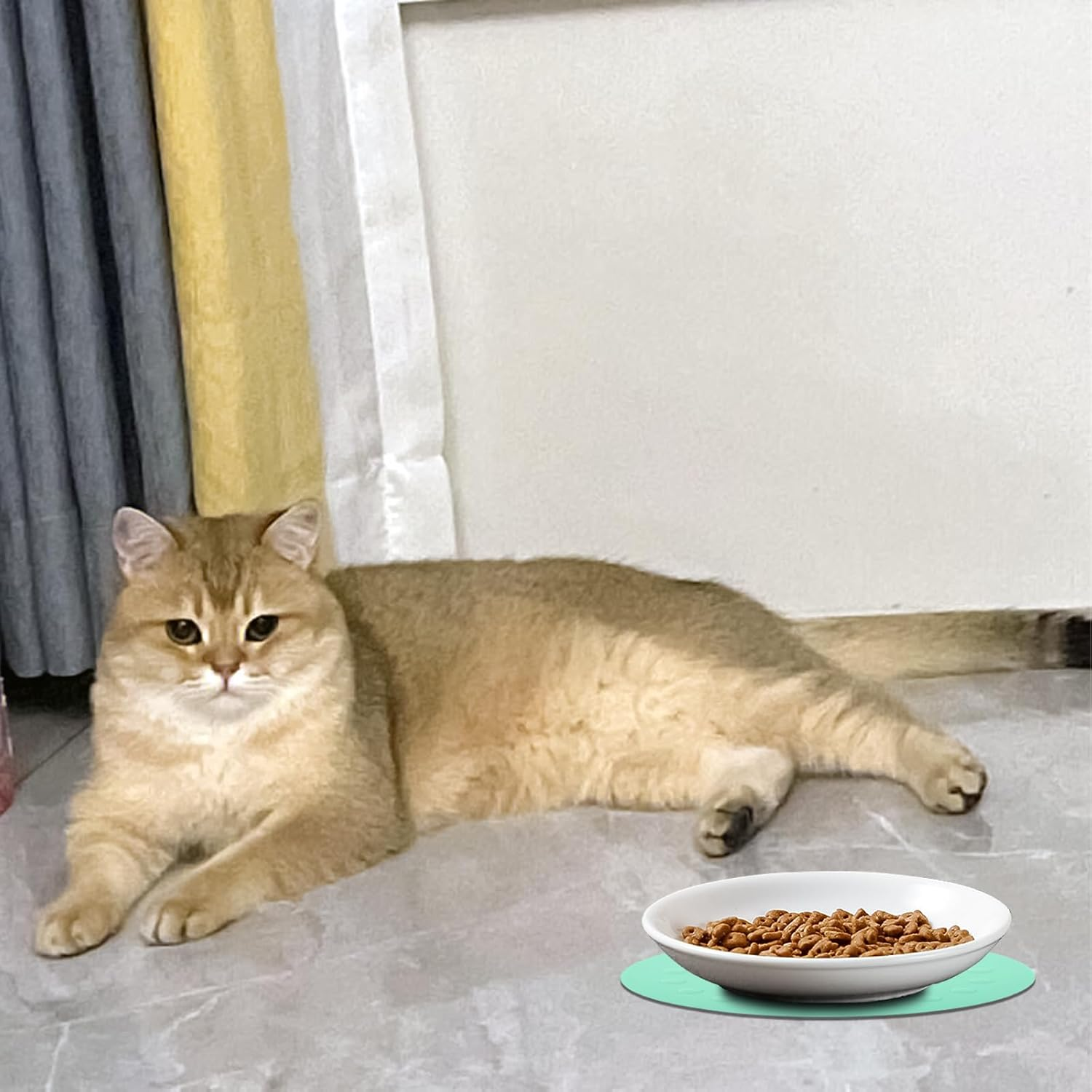 DYOUEN Pack of 2 Cat Ceramic Cat Bowl with Non-Slip Mats Cat Food Plate Non-Slip Mats Pet Bowl for Kittens and Small Animals image number 4