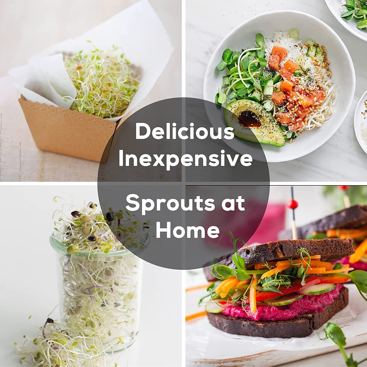 Complete Mason Jar Sprouting Kit. 2 Wide Mouth Quart Sprouting Jars with 316 Stainless Steel Sprouting Lids, Drip Tray and Stand image number 1