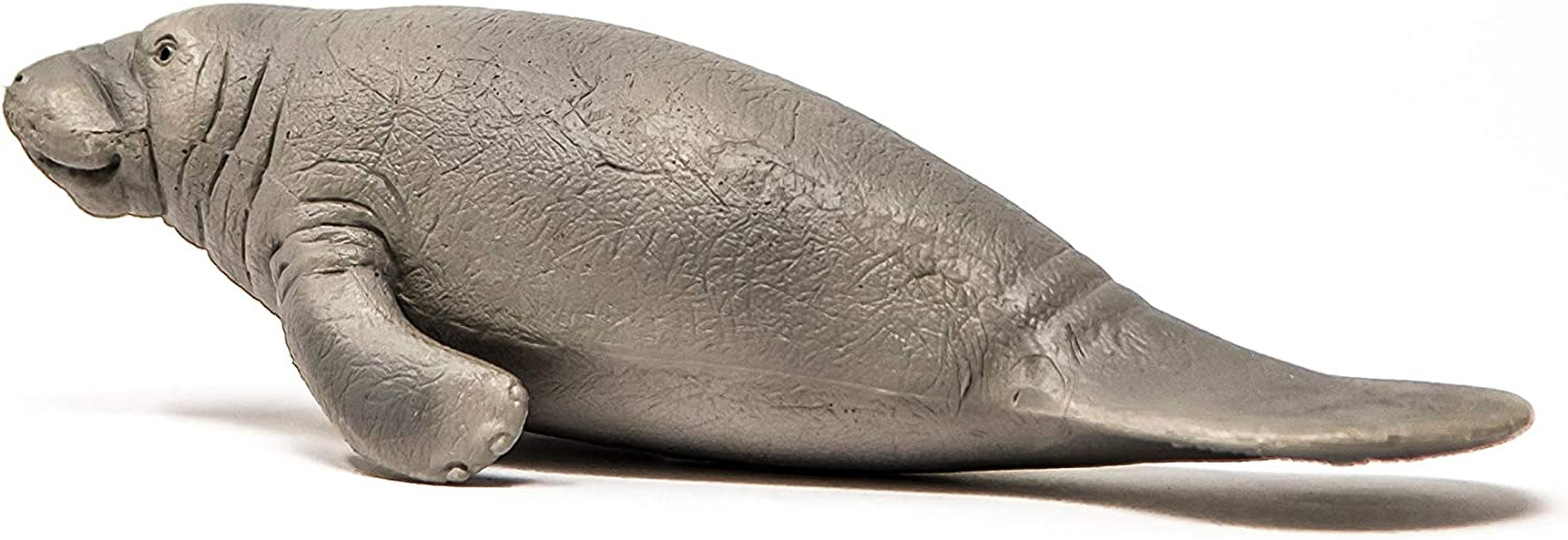 Schleich Wild Life Realistic Manatee Figurine - Authentic and Highly Detailed Animal Toy, Durable for Education and Fun Play, Perfect for Boys and Girls, Ages 3+ image number 3