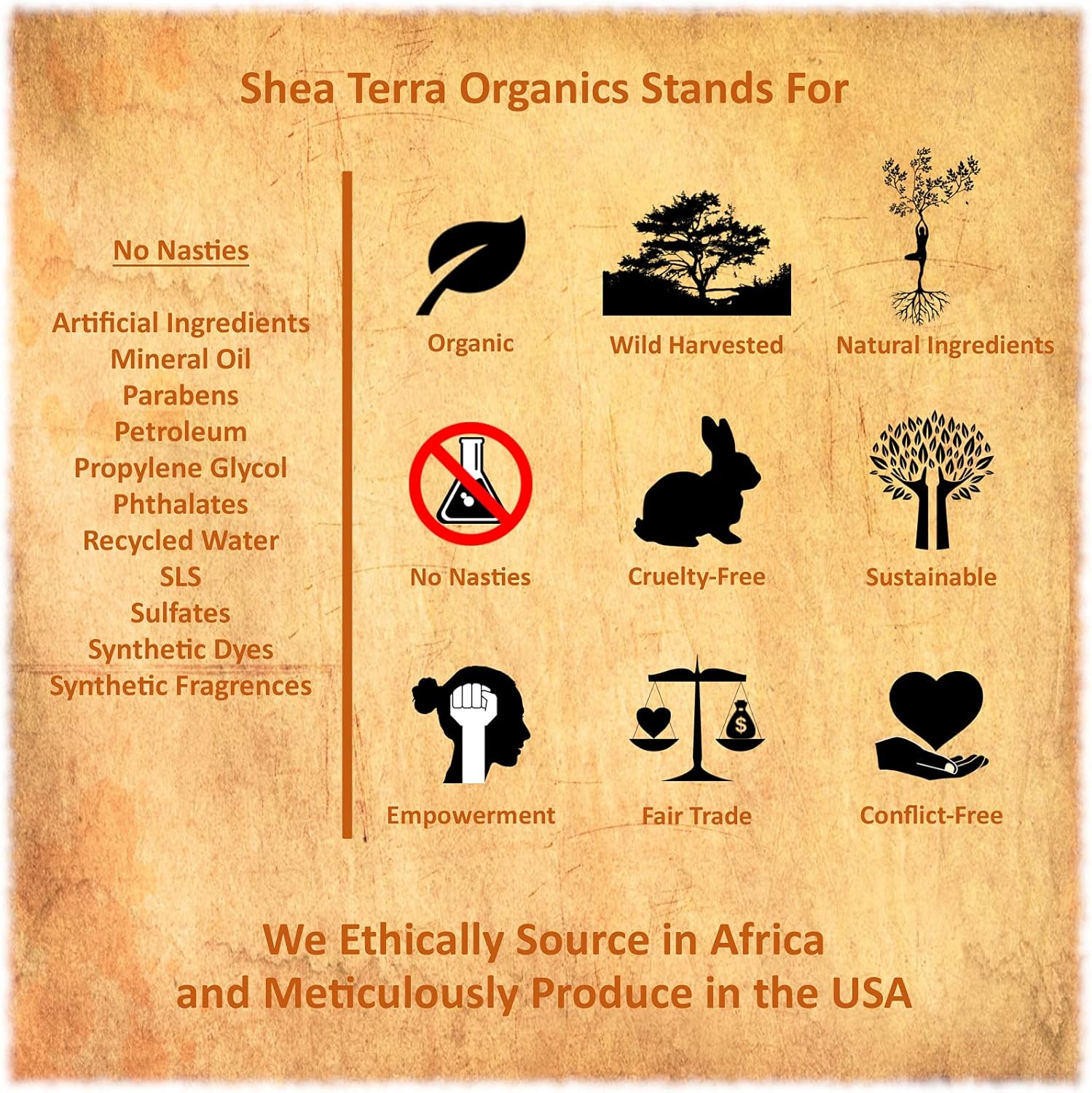Shea Terra Organics - Rose Hips Black Soap Deep Pore Facial Wash & Mask image number 6