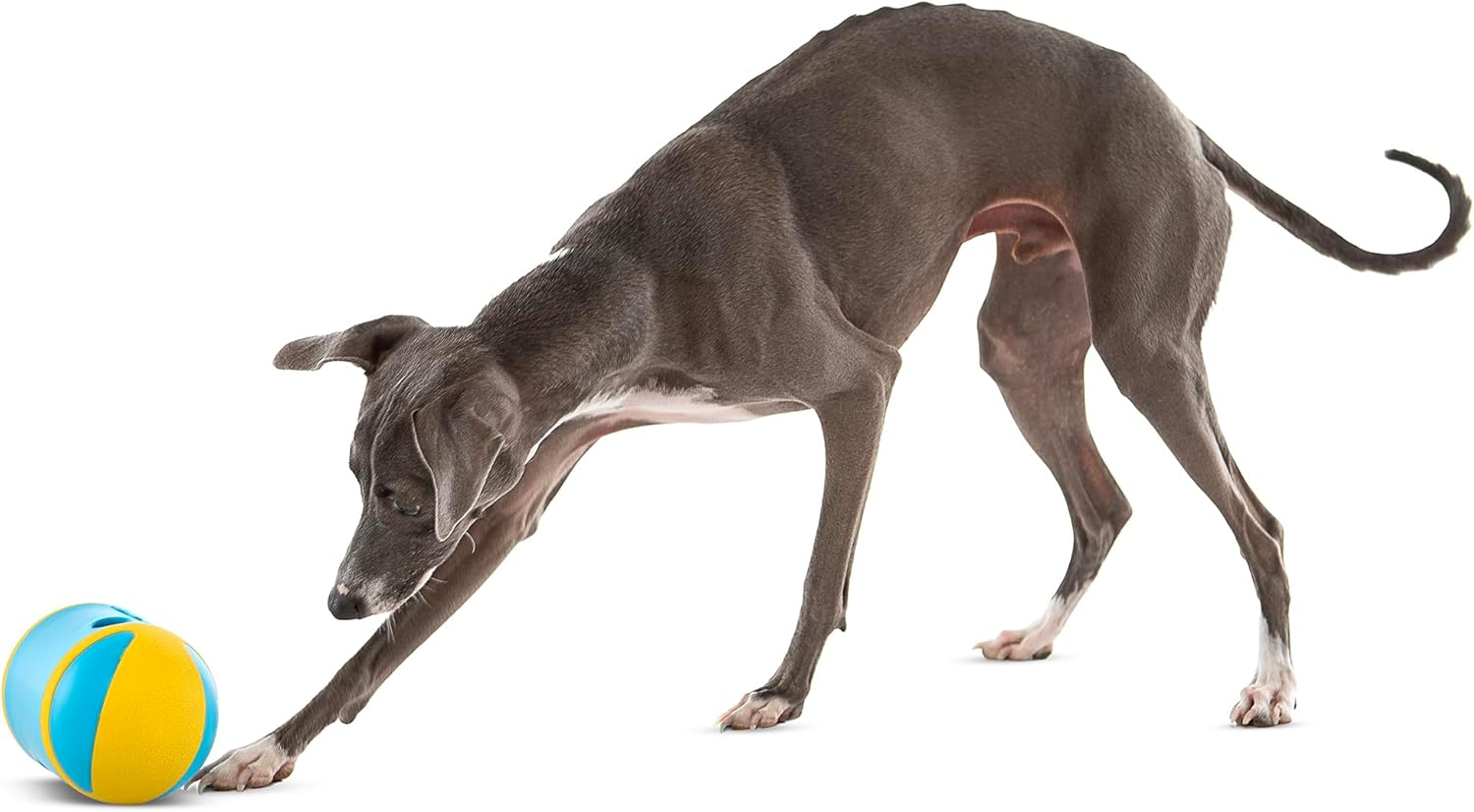 GURU Rock 'N Treat Medium 15X9X9Cm image number 5